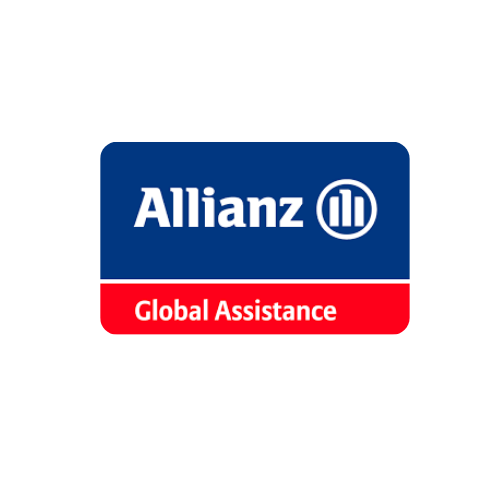Partner 4